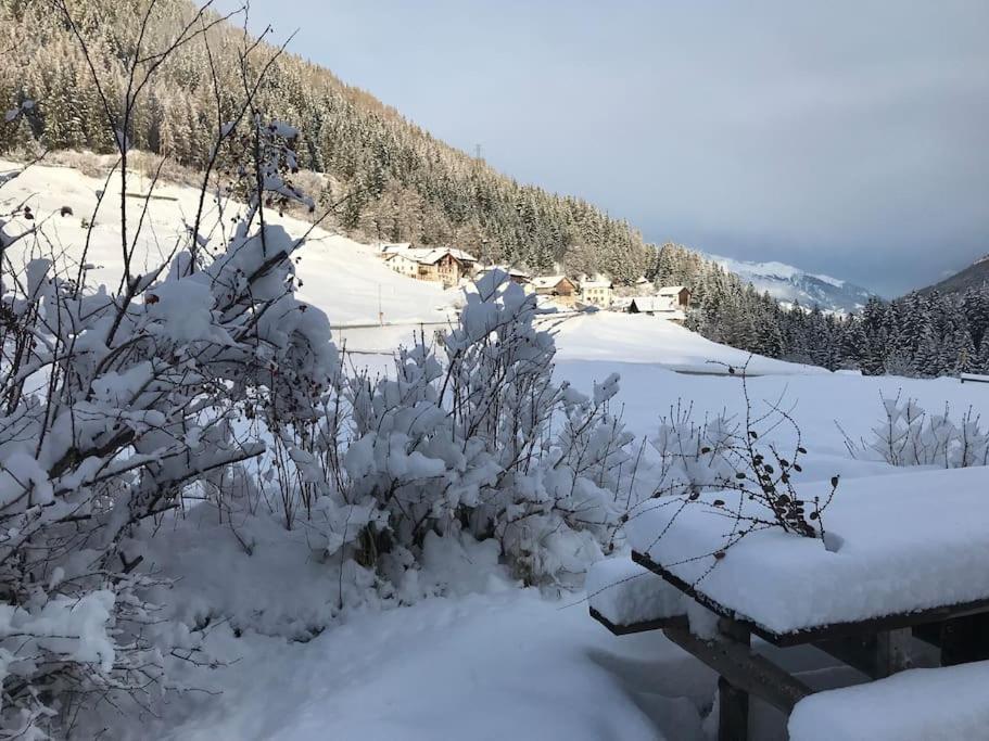 Chalet Rustico Bertolini Per Gruppi! Villa Vermiglio Ngoại thất bức ảnh