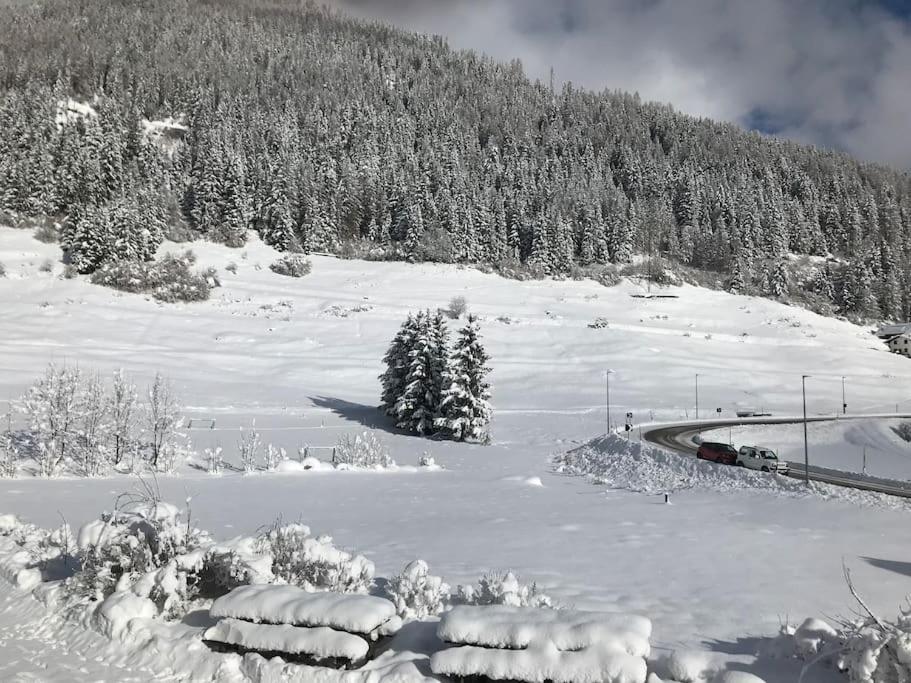 Chalet Rustico Bertolini Per Gruppi! Villa Vermiglio Ngoại thất bức ảnh